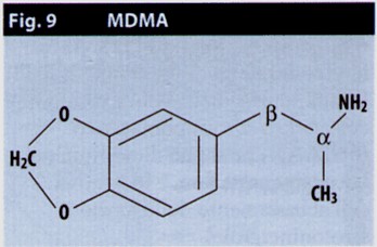 fig9.jpg (19515 byte)